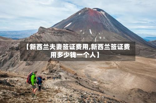 【新西兰夫妻签证费用,新西兰签证费用多少钱一个人】