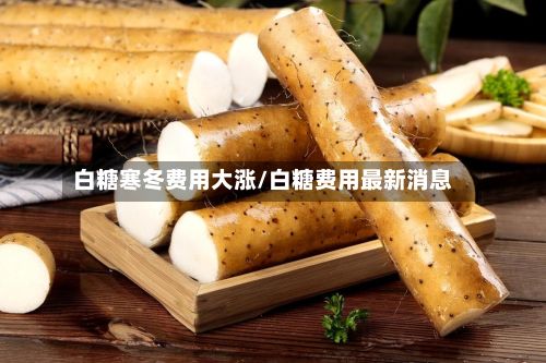 白糖寒冬费用大涨/白糖费用最新消息