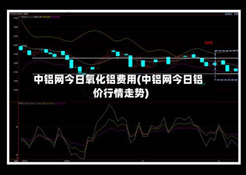 中铝网今日氧化铝费用(中铝网今日铝价行情走势)