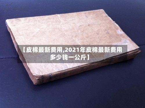 【皮棉最新费用,2021年皮棉最新费用多少钱一公斤】-第2张图片