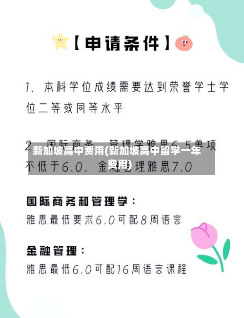 新加坡高中费用(新加坡高中留学一年费用)