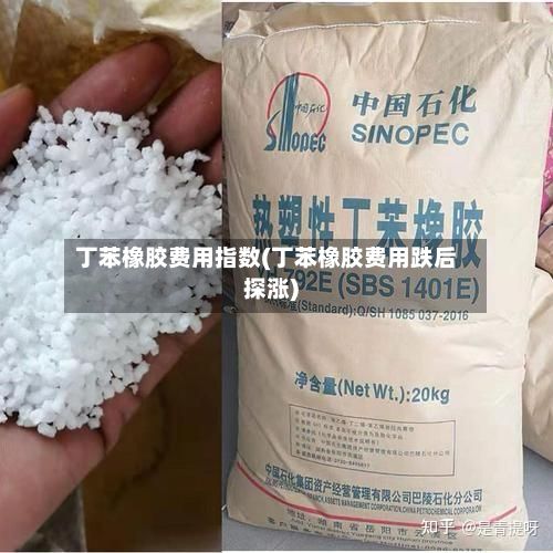丁苯橡胶费用指数(丁苯橡胶费用跌后探涨)-第3张图片