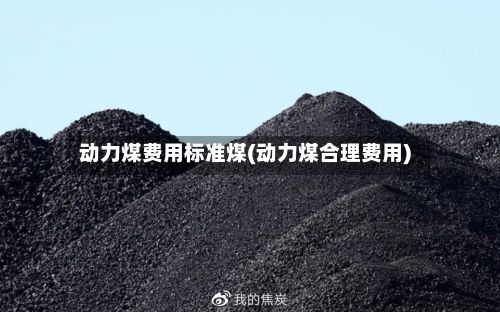 动力煤费用标准煤(动力煤合理费用)