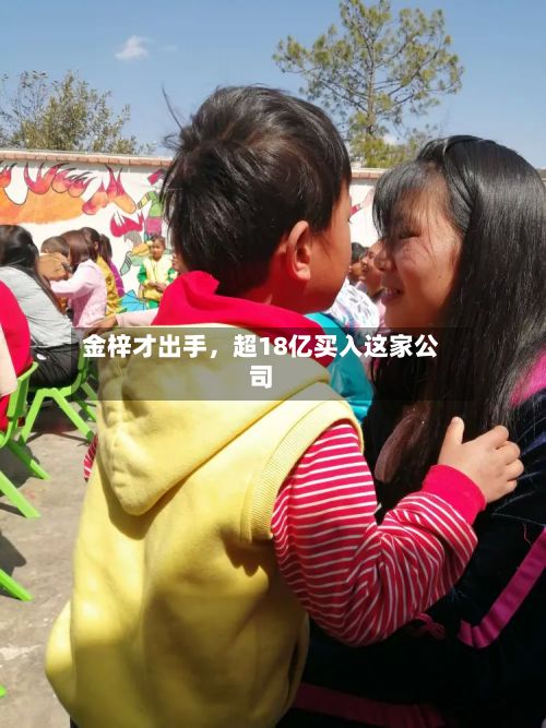 金梓才出手	，超18亿买入这家公司-第3张图片