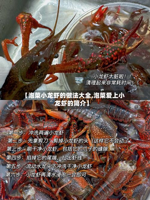 【泡菜小龙虾的做法大全,泡菜爱上小龙虾的简介】