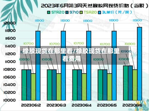 橡胶现货在那里看/橡胶现货在那里看费用-第2张图片