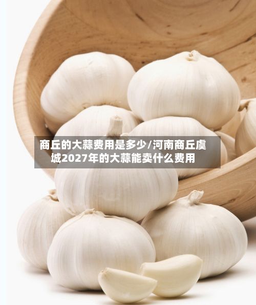 商丘的大蒜费用是多少/河南商丘虞城2027年的大蒜能卖什么费用