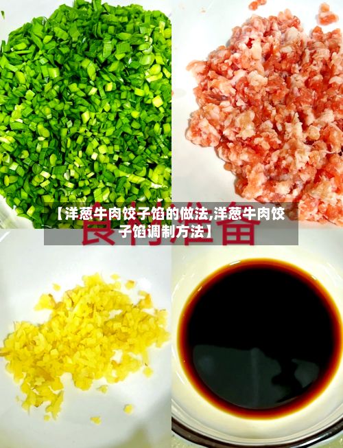 【洋葱牛肉饺子馅的做法,洋葱牛肉饺子馅调制方法】-第2张图片