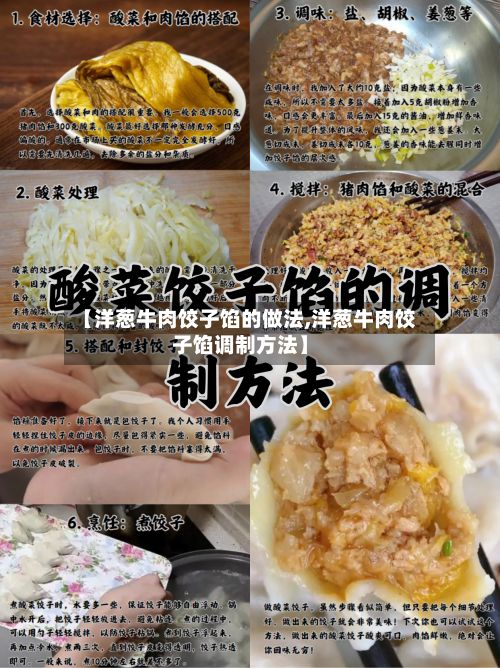 【洋葱牛肉饺子馅的做法,洋葱牛肉饺子馅调制方法】-第3张图片