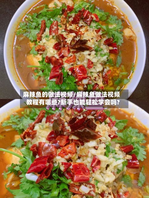 麻辣鱼的做法视频/麻辣鱼做法视频教程有哪些?新手也能轻松学会吗?
