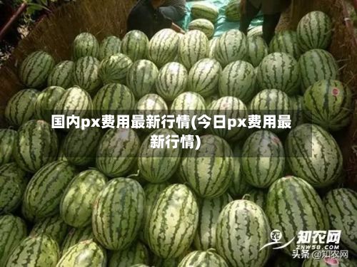 国内px费用最新行情(今日px费用最新行情)