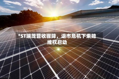 *ST瑞茂营收骤降，退市危机下索赔维权启动-第2张图片