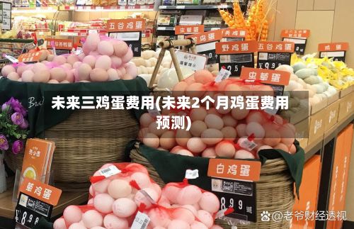 未来三鸡蛋费用(未来2个月鸡蛋费用预测)-第2张图片
