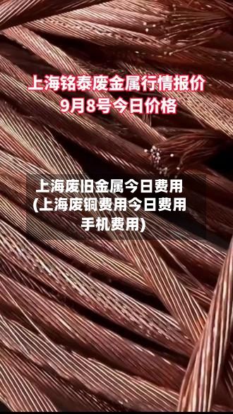 上海废旧金属今日费用(上海废铜费用今日费用手机费用)