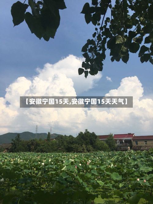 【安徽宁国15天,安徽宁国15天天气】