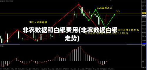 非农数据和白银费用(非农数据白银走势)