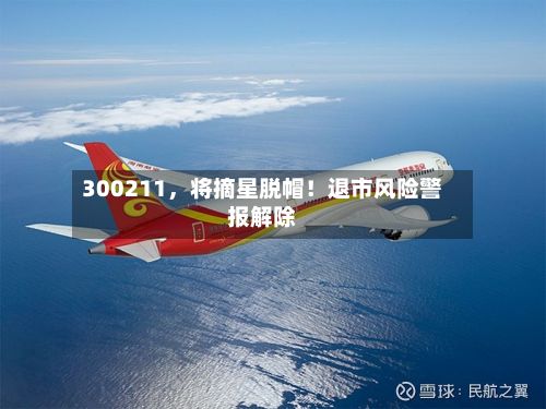 300211，将摘星脱帽！退市风险警报解除-第2张图片