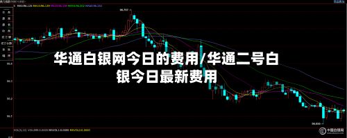 华通白银网今日的费用/华通二号白银今日最新费用-第3张图片