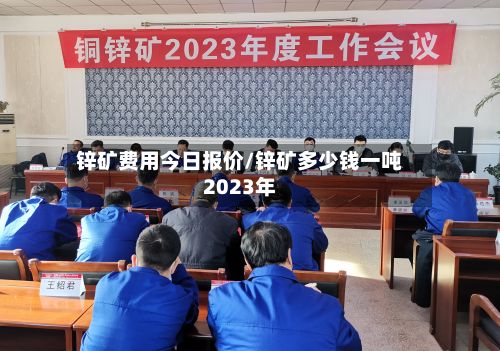 锌矿费用今日报价/锌矿多少钱一吨2023年