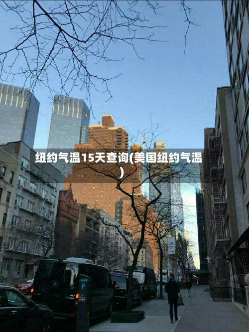 纽约气温15天查询(美国纽约气温)