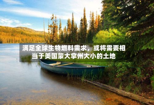 满足全球生物燃料需求，或将需要相当于美国蒙大拿州大小的土地-第2张图片