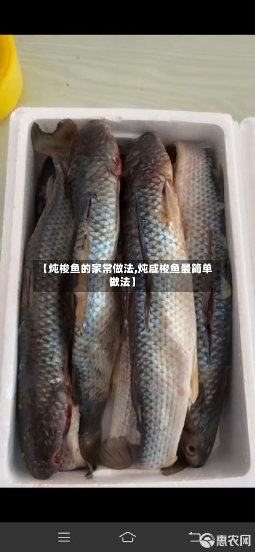 【炖梭鱼的家常做法,炖咸梭鱼最简单做法】