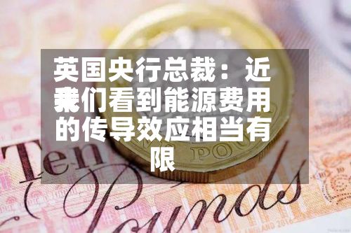 英国央行总裁：近来我们看到能源费用的传导效应相当有限-第2张图片