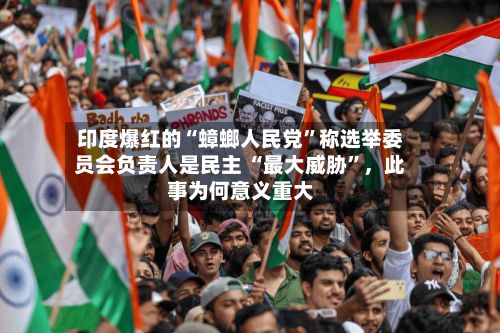 印度爆红的“蟑螂人民党	”称选举委员会负责人是民主 “最大威胁”，此事为何意义重大-第3张图片