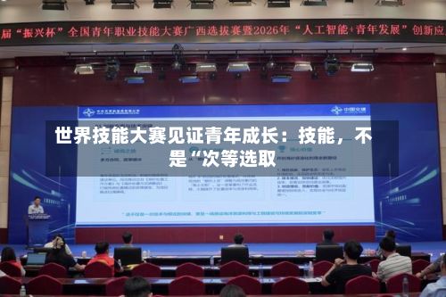 世界技能大赛见证青年成长：技能	，不是“次等选取”-第2张图片