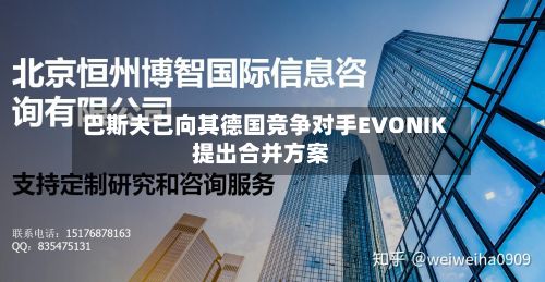 巴斯夫已向其德国竞争对手EVONIK提出合并方案-第2张图片