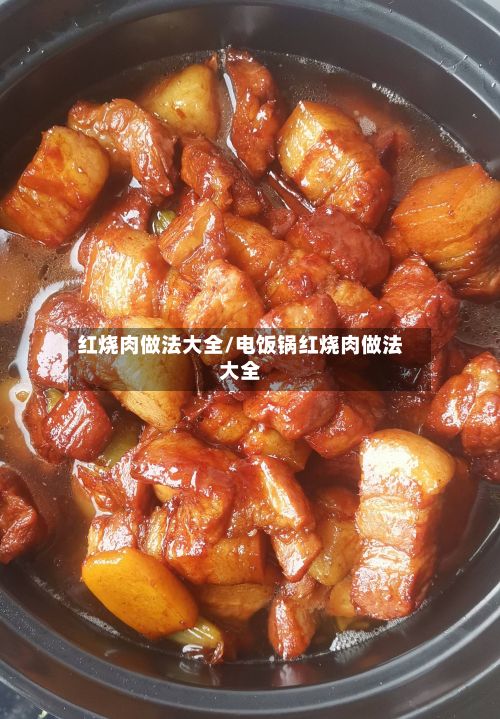 红烧肉做法大全/电饭锅红烧肉做法大全