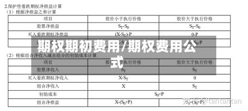期权期初费用/期权费用公式-第2张图片