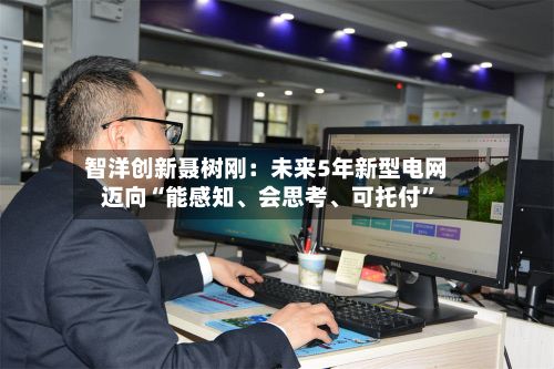智洋创新聂树刚：未来5年新型电网迈向“能感知、会思考	、可托付”-第2张图片