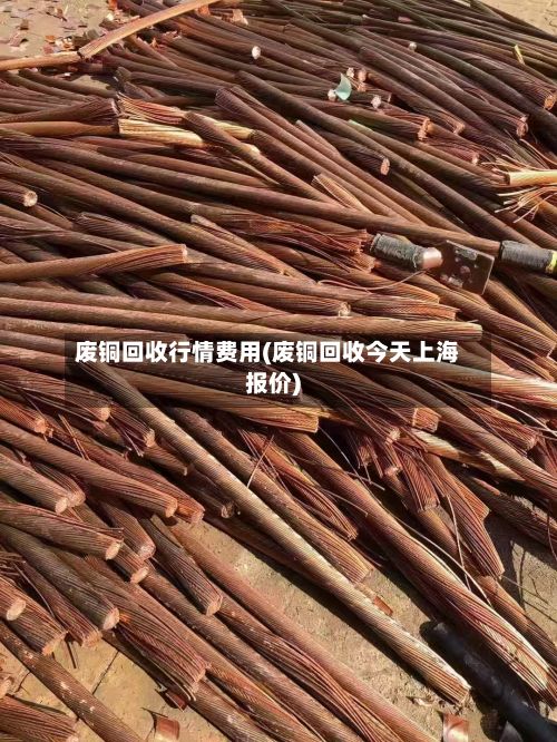 废铜回收行情费用(废铜回收今天上海报价)-第2张图片