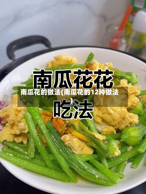 南瓜花的做法(南瓜花的12种做法)