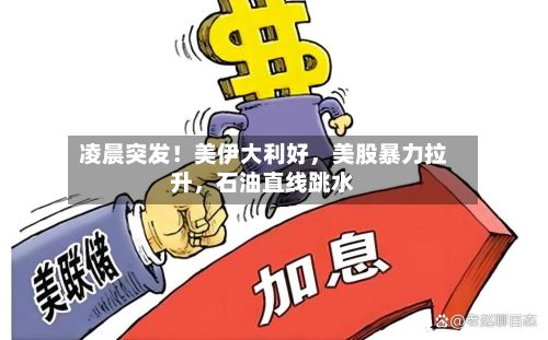 凌晨突发！美伊大利好	，美股暴力拉升，石油直线跳水-第3张图片