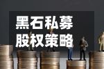 黑石私募股权策略主管Joe Baratta据悉洽谈离职-第3张图片
