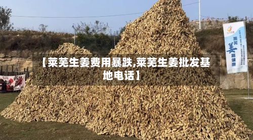 【莱芜生姜费用暴跌,莱芜生姜批发基地电话】