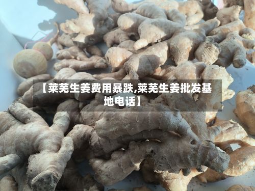【莱芜生姜费用暴跌,莱芜生姜批发基地电话】-第3张图片