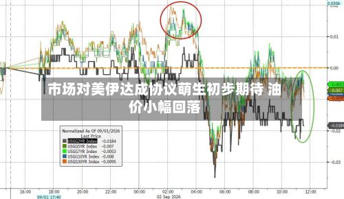 市场对美伊达成协议萌生初步期待 油价小幅回落-第2张图片