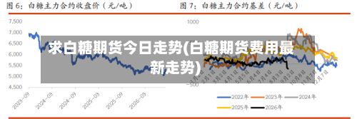 求白糖期货今日走势(白糖期货费用最新走势)-第3张图片