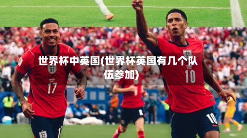 世界杯中英国(世界杯英国有几个队伍参加)-第2张图片