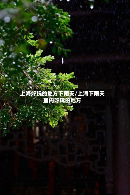 上海好玩的地方下雨天/上海下雨天室内好玩的地方