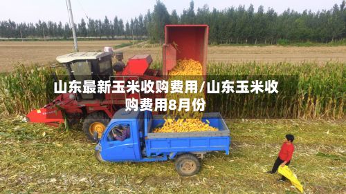 山东最新玉米收购费用/山东玉米收购费用8月份-第2张图片