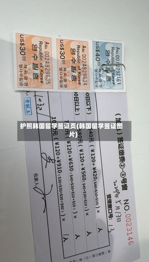 护照韩国留学签证页(韩国留学签证图片)-第2张图片