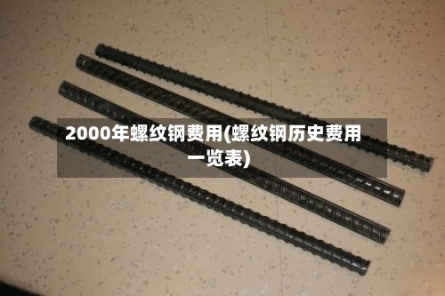 2000年螺纹钢费用(螺纹钢历史费用一览表)