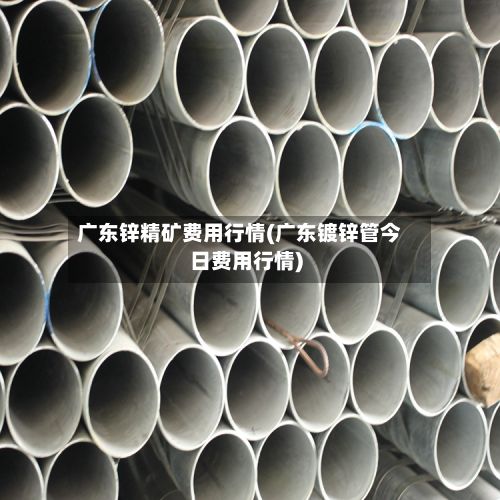 广东锌精矿费用行情(广东镀锌管今日费用行情)