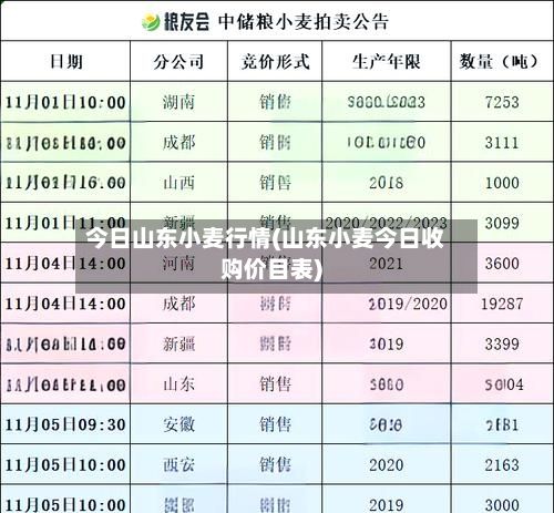 今日山东小麦行情(山东小麦今日收购价目表)-第3张图片