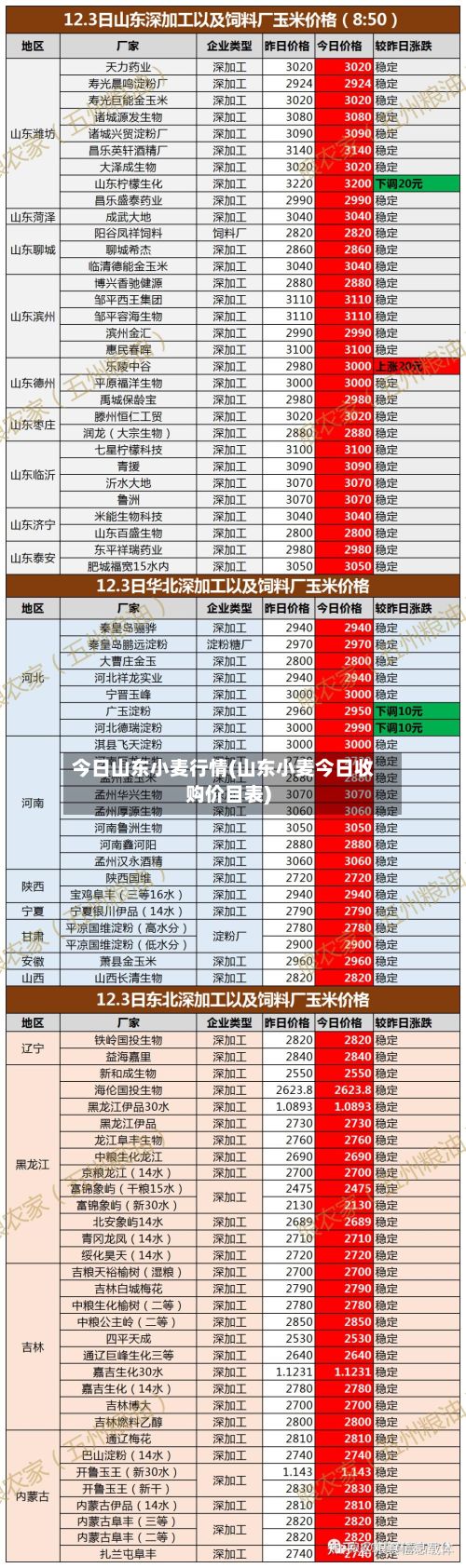 今日山东小麦行情(山东小麦今日收购价目表)