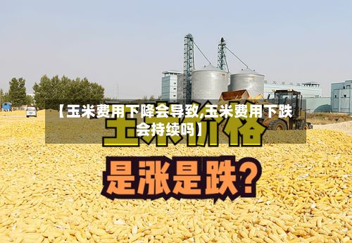 【玉米费用下降会导致,玉米费用下跌会持续吗】-第2张图片